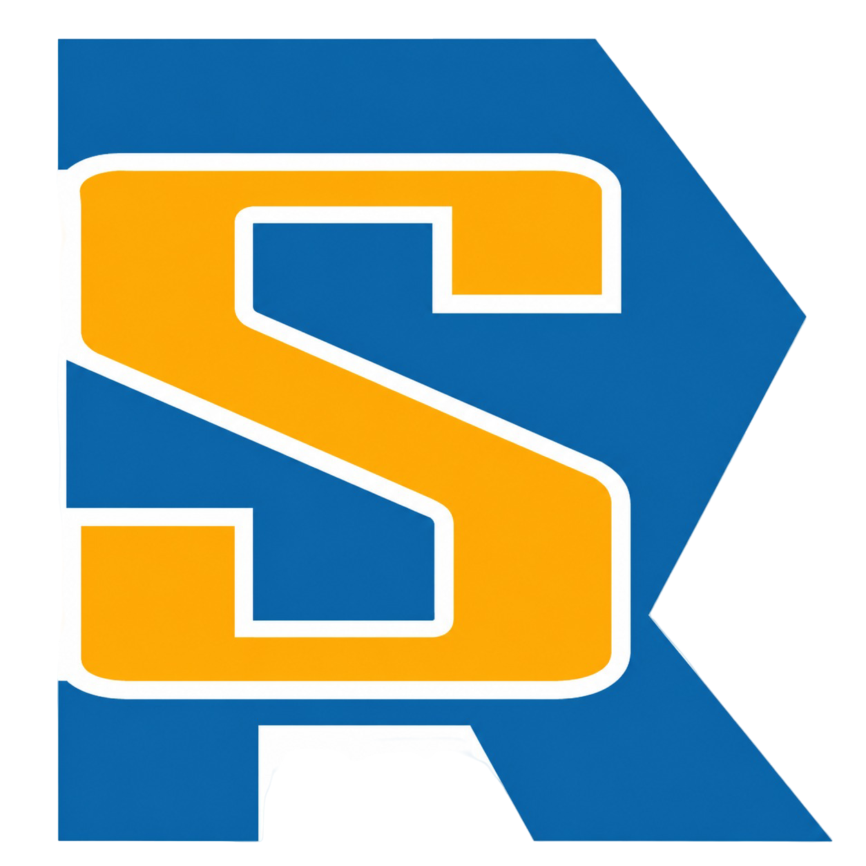 R.S. Infonet